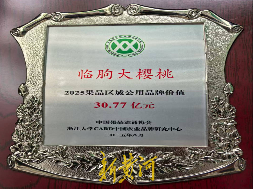 潍坊临朐：30.77 亿元<strong></p>
<p>币君网</strong>！“红玛瑙”大樱桃何以成乡村振兴“甜蜜引擎”