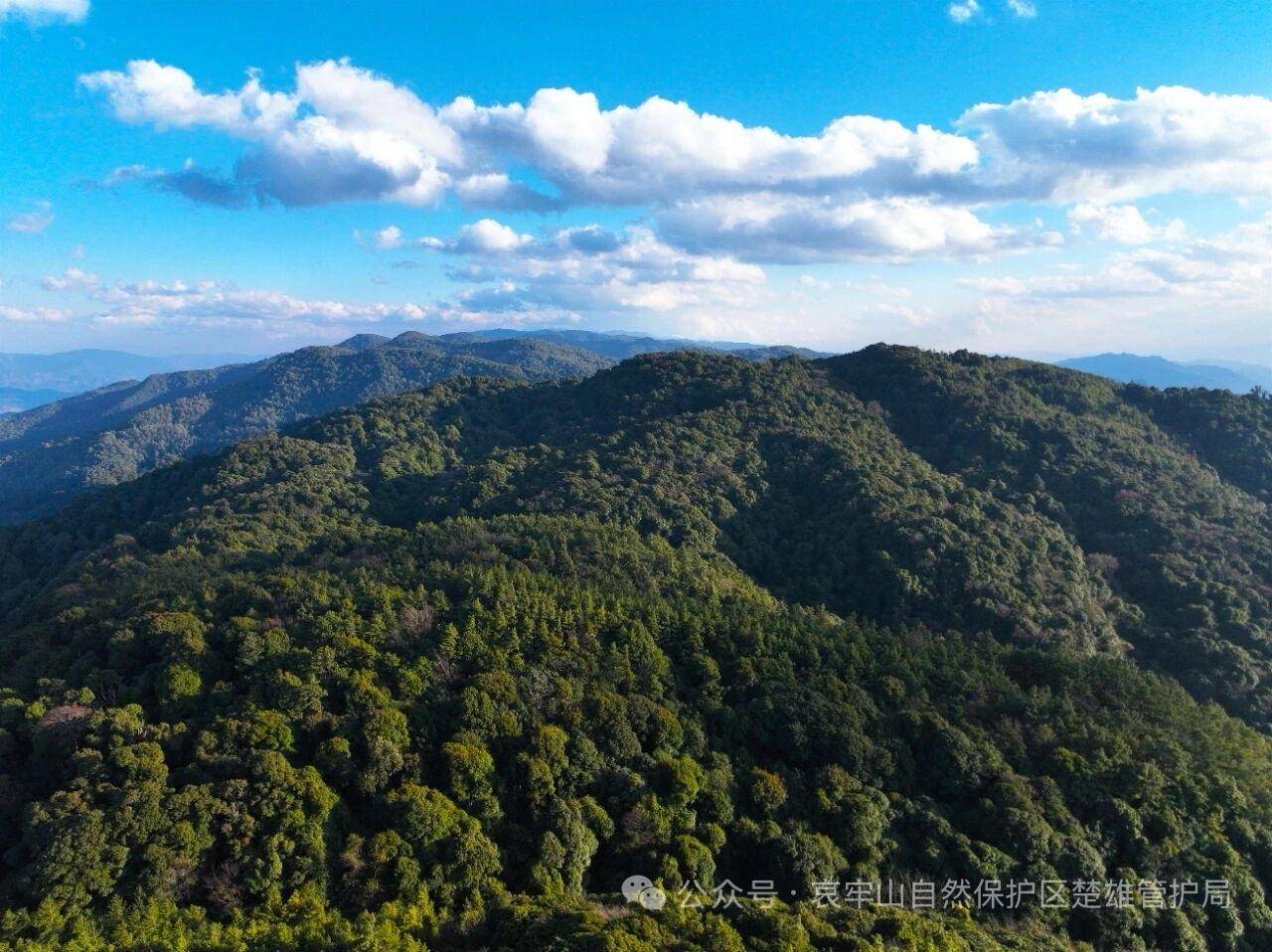 云南哀牢山新规出台：禁止任何单位和个人擅入哀牢山自然保护区<strong></p>
<p>土币</strong>，从事科研活动须报批
