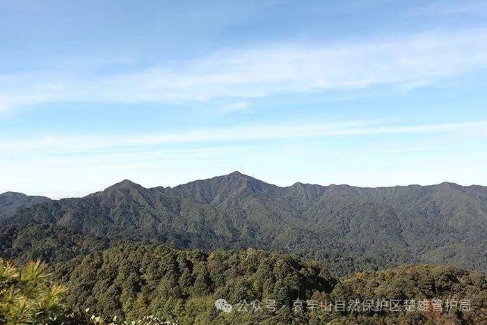 云南哀牢山新规出台：禁止任何单位和个人擅入哀牢山自然保护区<strong></p>
<p>土币</strong>，从事科研活动须报批
