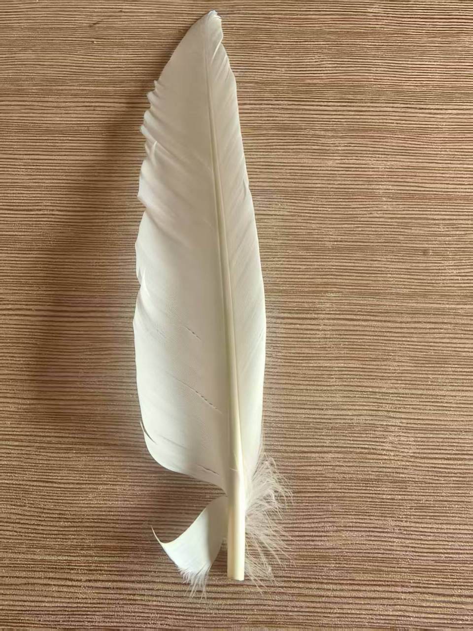 羽毛球又又又涨价<strong></p>
<p>土币</strong>，球友破防：月花三千扛不住，打球人的天塌了