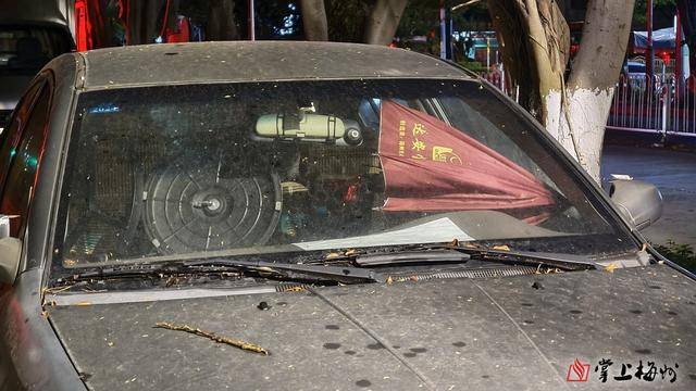 免费停车位被“僵尸车”“广告车”长期霸占<strong></p>
<p>什币网海外版</strong>，梅城这些路段该管管了！