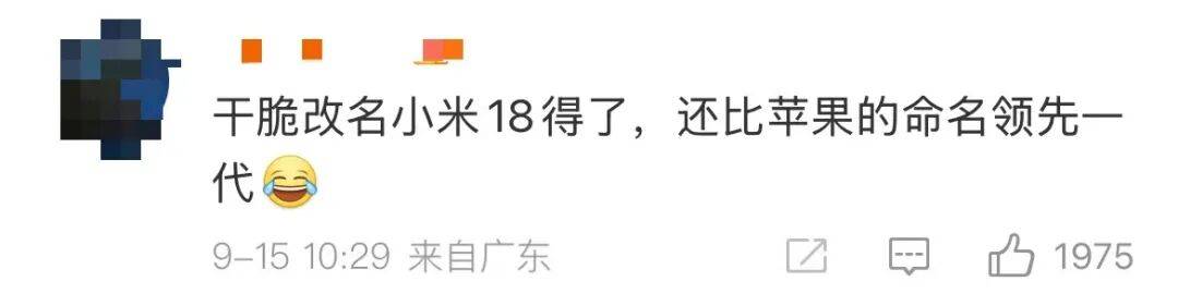 雷军：全面对标iPhone<strong></p>
<p>绿行币</strong>，正面迎战！小米宣布跳过16系列，直接发布17