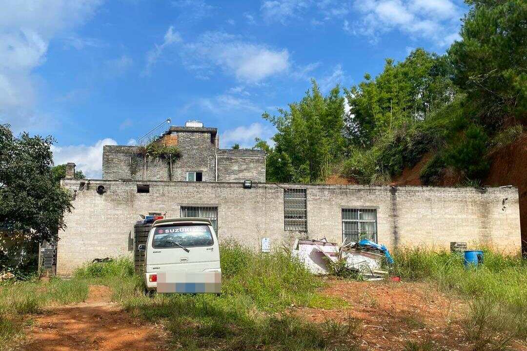 广西一原县委书记被绑架案调查：冒充执法人员带走受害人<strong></p>
<p>绿行币</strong>，被告人一家多人获刑!