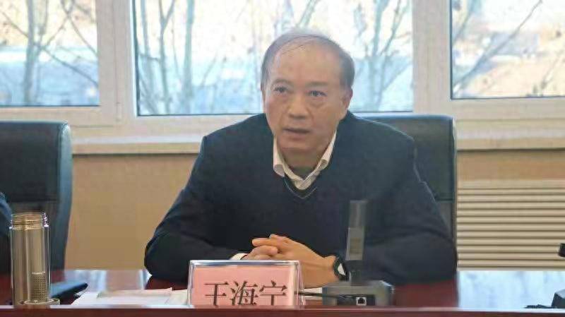 涉嫌严重违纪违法！王海宁<strong></p>
<p>绿行币</strong>，被查