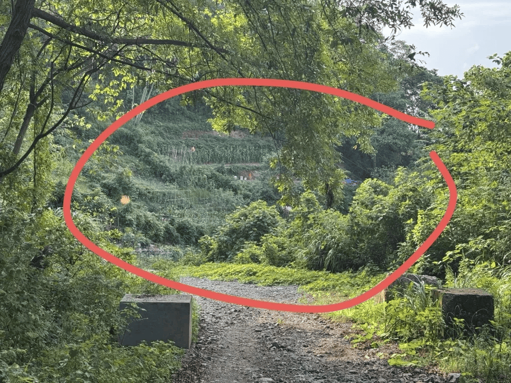 杭州女子误踩“化骨水”身亡<strong></p>
<p>币久</strong>,当地:已锁定化学品所有者,发现三桶,一桶完整,两桶残余