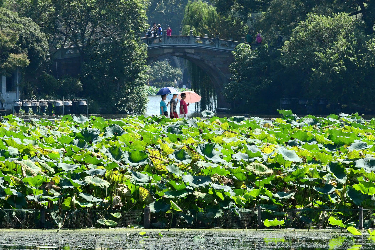 “三台共舞”对浙江有何影响？周末又有冷空气<strong></p>
<p>币阅</strong>，气温舒适