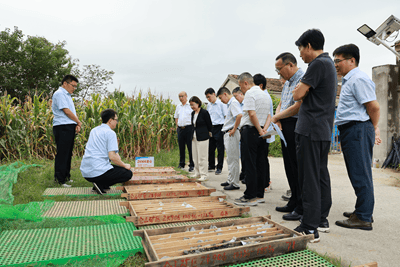 江苏发现金矿！离扬州不远！