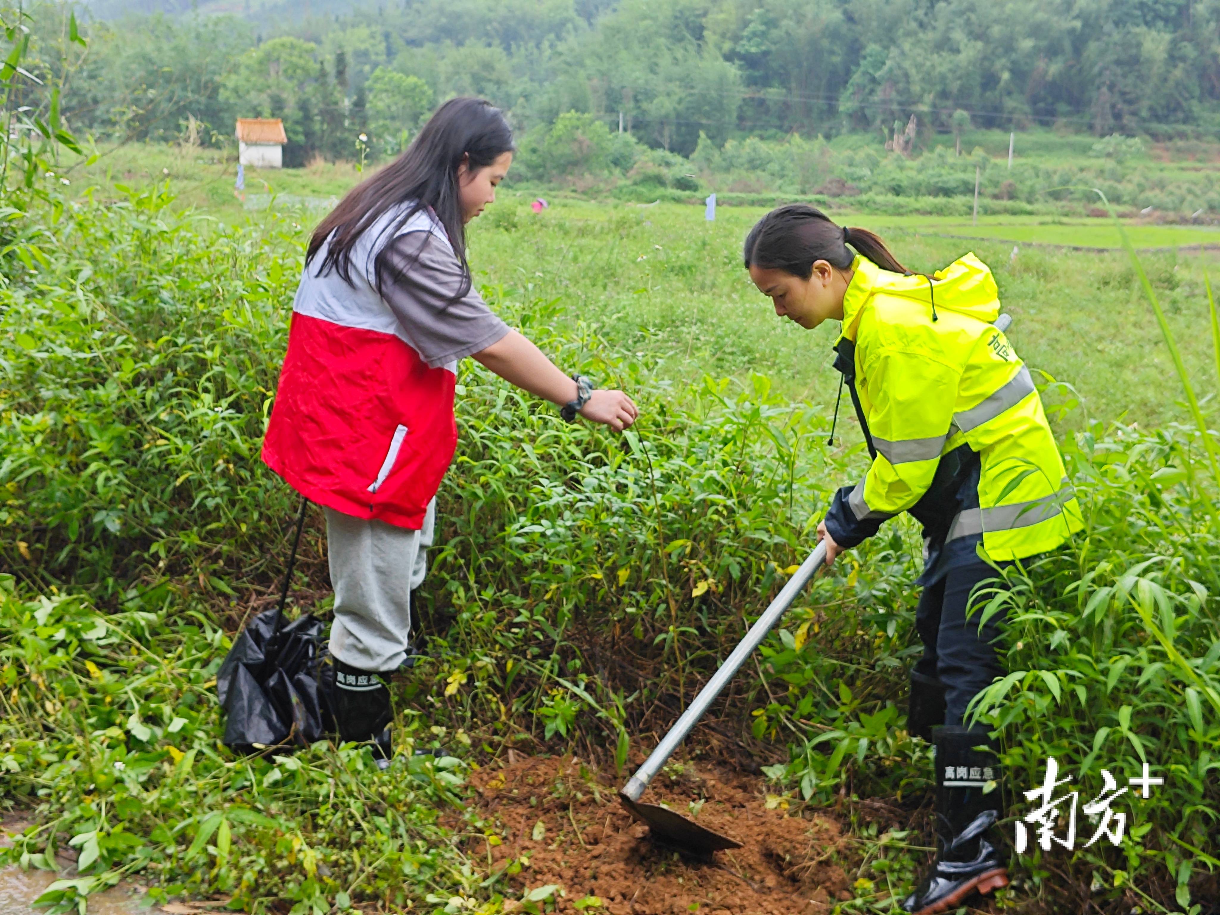 “外来媳妇”谭焕贞五年深耕<strong></p>
<p>淘币时代</strong>，佛冈高岗宝山村换新貌