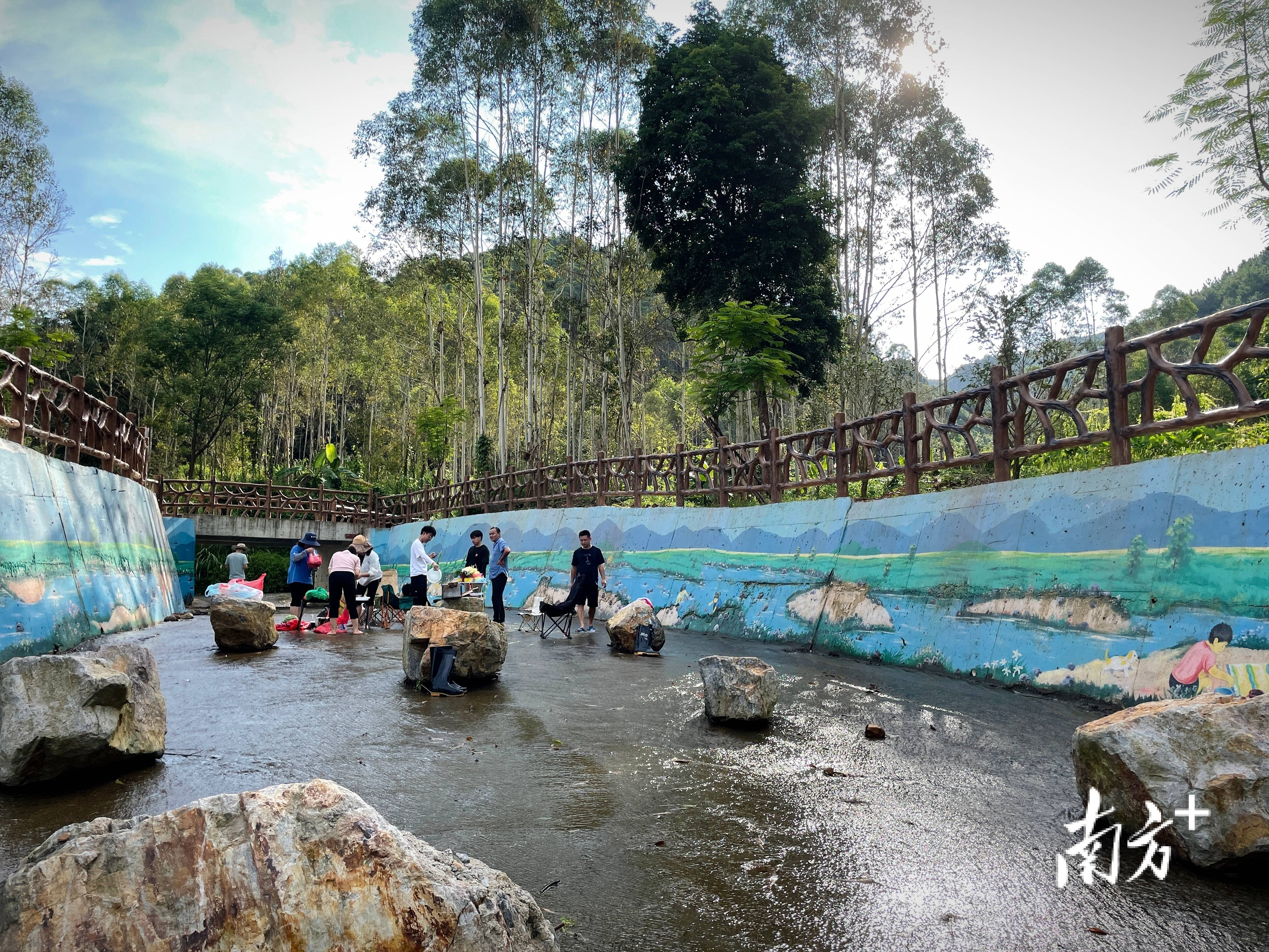 “外来媳妇”谭焕贞五年深耕<strong></p>
<p>淘币时代</strong>，佛冈高岗宝山村换新貌