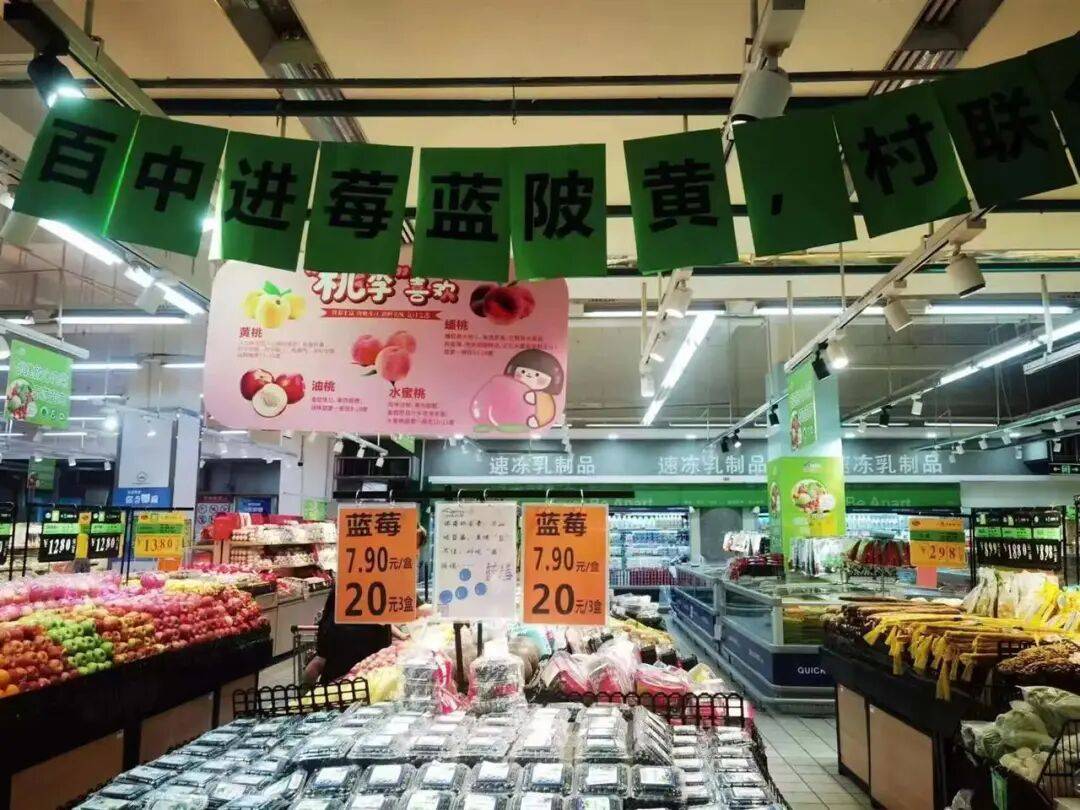 国企联村·强村富民|一颗蓝莓激活乡村振兴<strong></p>
<p>淘币时代</strong>,书写荒坡变宝地新篇