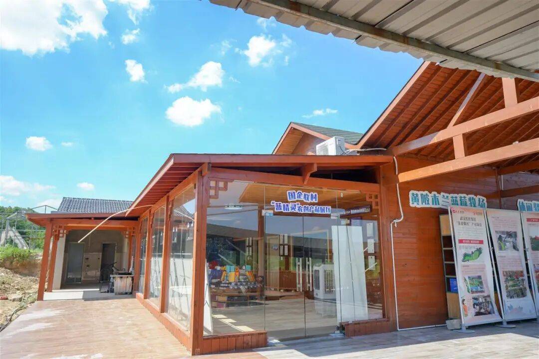 国企联村·强村富民|一颗蓝莓激活乡村振兴<strong></p>
<p>淘币时代</strong>,书写荒坡变宝地新篇