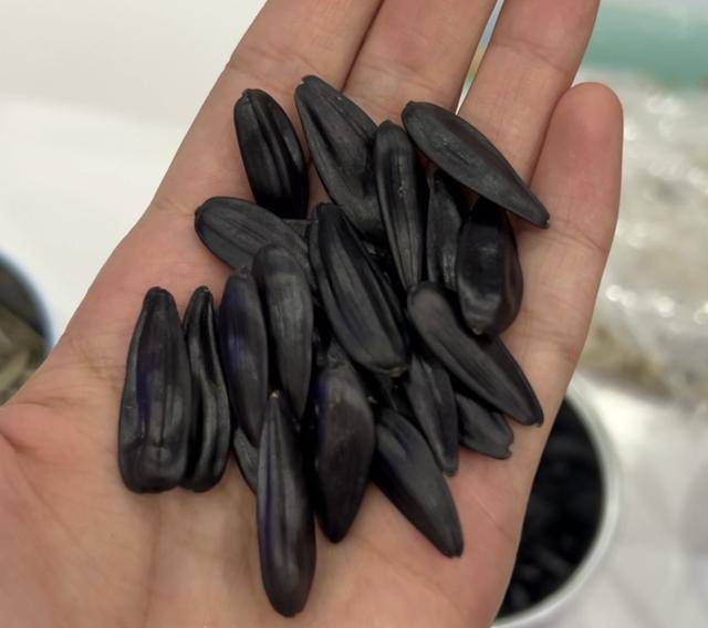 紫色向日葵、多彩胡萝卜、双色火龙果亮相青岛<strong></p>
<p>淘币时代</strong>,种子盛会变身“未来食物实验室”