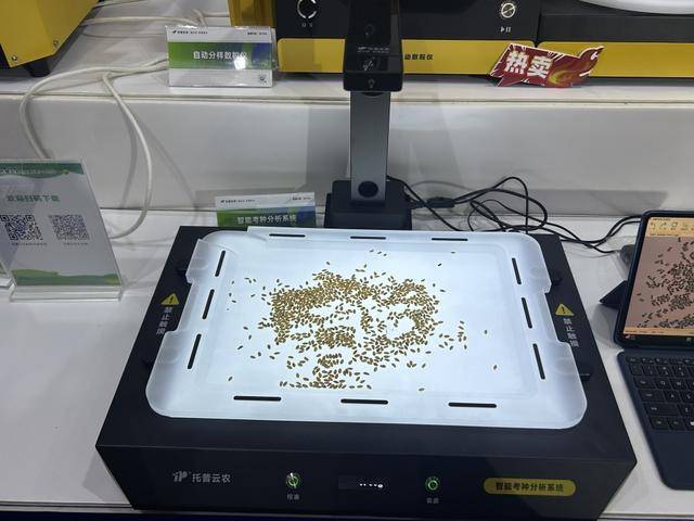 紫色向日葵、多彩胡萝卜、双色火龙果亮相青岛<strong></p>
<p>淘币时代</strong>,种子盛会变身“未来食物实验室”