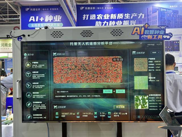 紫色向日葵、多彩胡萝卜、双色火龙果亮相青岛<strong></p>
<p>淘币时代</strong>,种子盛会变身“未来食物实验室”