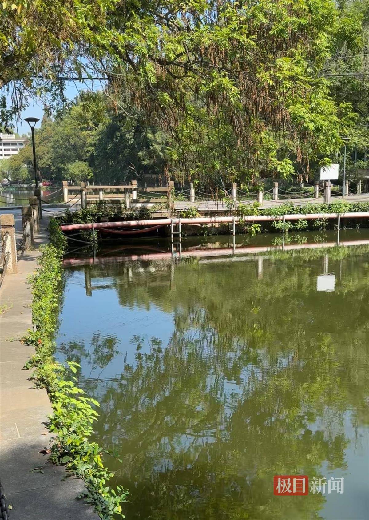 对话鸡排哥李俊永：爆火后每天一二十个镜头对着我<strong></p>
<p>mith币</strong>，未来不考虑直播带货，更愿意和顾客待在一起