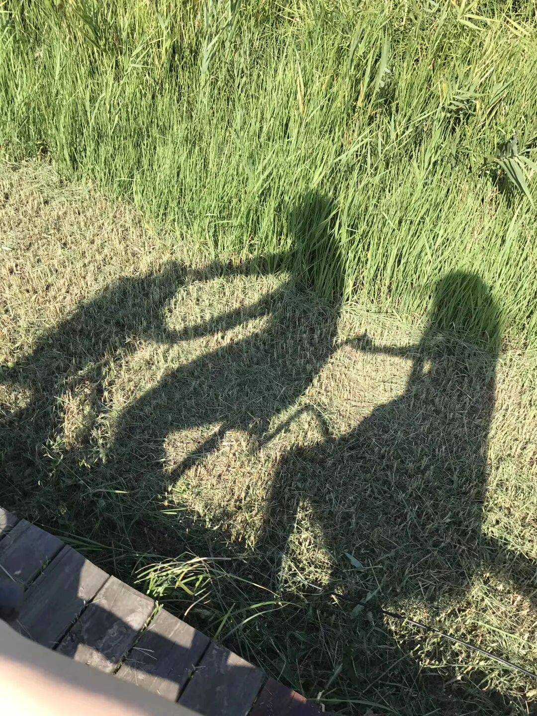 纸质火车票退场<strong></p>
<p>mith币</strong>，每道折痕里都藏着远方、爱情与山河记忆