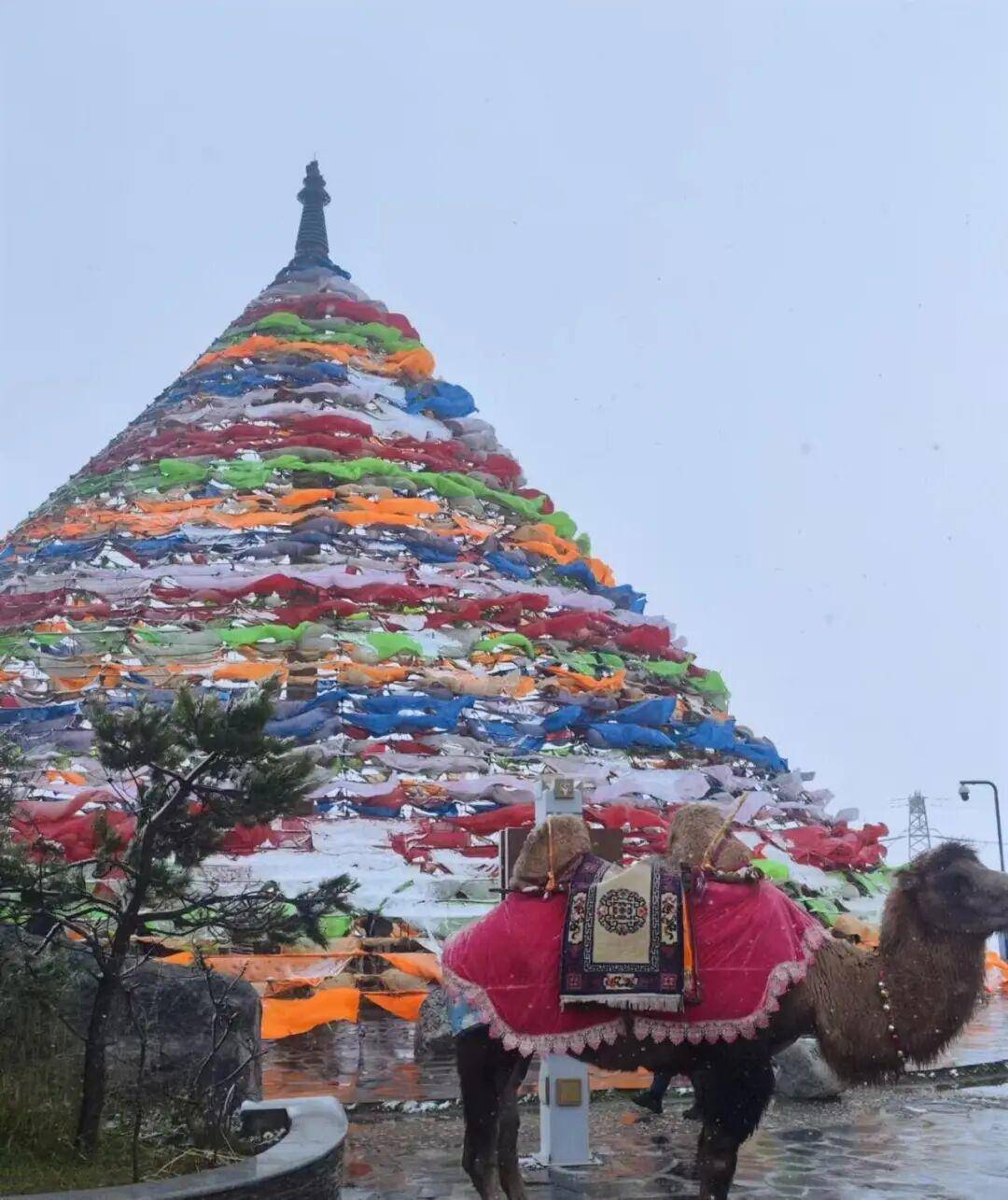 多地突降大雪<strong></p>
<p>久币网</strong>!