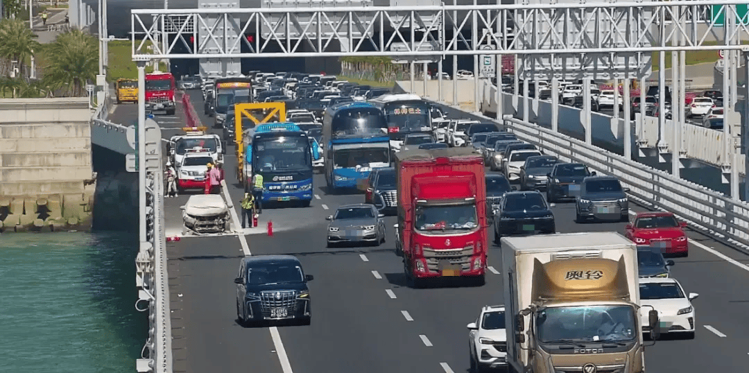 粤B·97821D、粤Z·AG85澳、粤T·91736<strong></p>
<p>牛币币</strong>,你们被拍下来了!