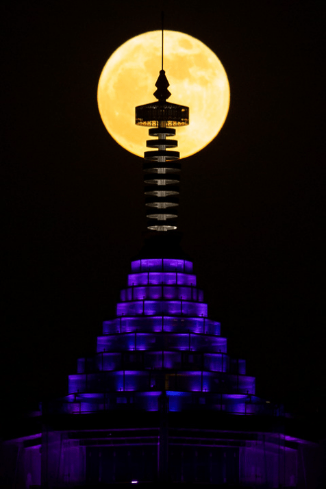 花好月圆人团圆<strong></p>
<p>牛币币</strong>，中秋“硬核”赏月指南来了