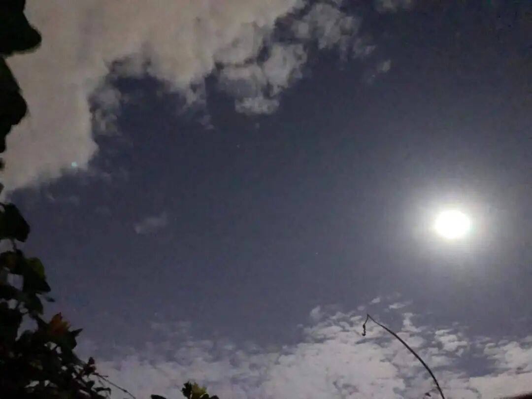 没有什么能阻挡!今天<strong></p>
<p>牛币币</strong>,广西人就是要回家!