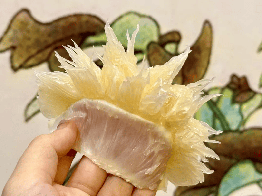 没有什么能阻挡!今天<strong></p>
<p>牛币币</strong>,广西人就是要回家!