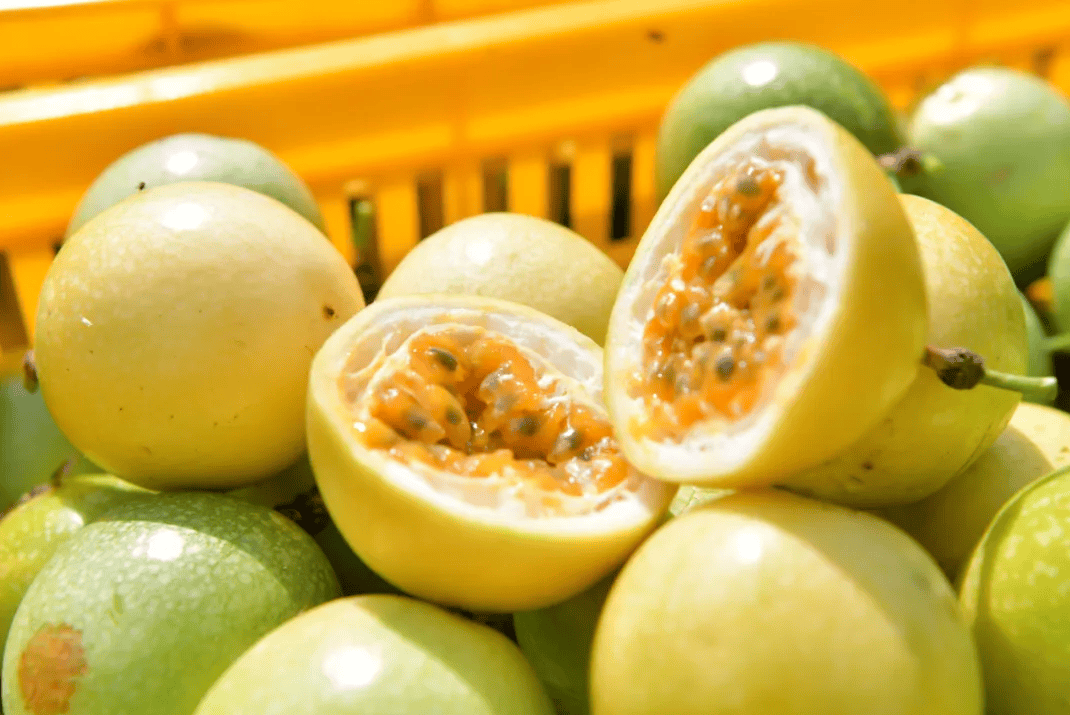 没有什么能阻挡!今天<strong></p>
<p>牛币币</strong>,广西人就是要回家!