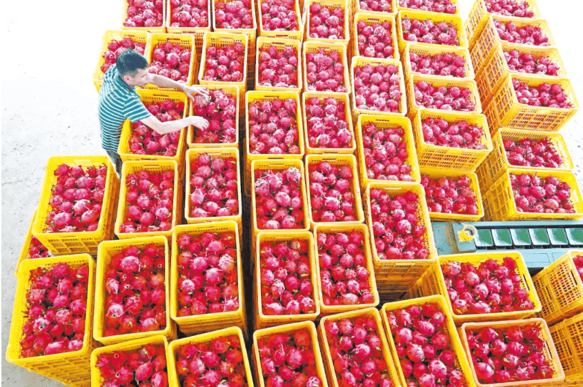 没有什么能阻挡!今天<strong></p>
<p>牛币币</strong>,广西人就是要回家!