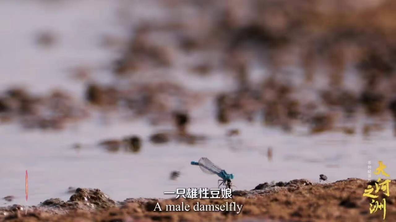 闪电评论｜镜头“深潜”大河洲<strong></p>
<p>牛币币</strong>，故事“直抵”世界心