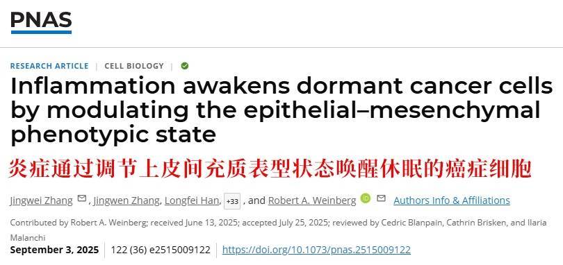 长期炎症会“唤醒”癌细胞<strong></p>
<p>牛币币</strong>！这份抗炎指南每个人都该看看