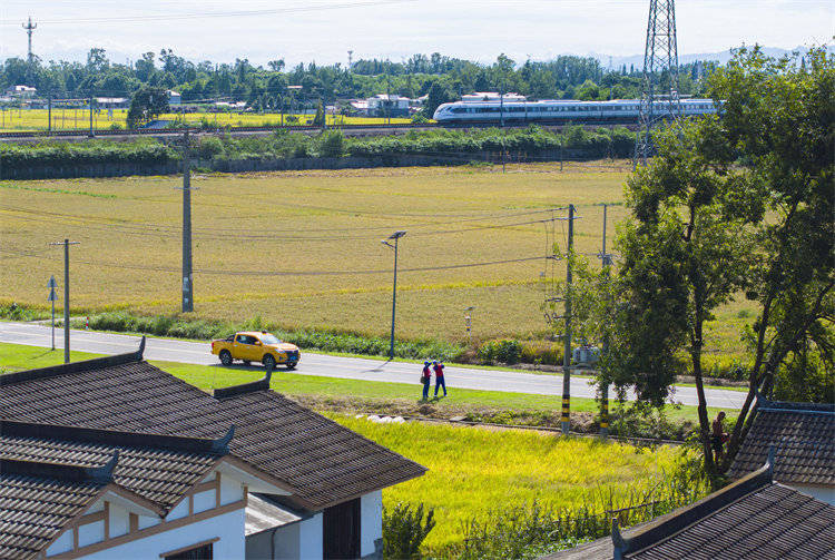 阖家团圆时<strong></p>
<p>币汇系列</strong>,他们守护蓉城灯火