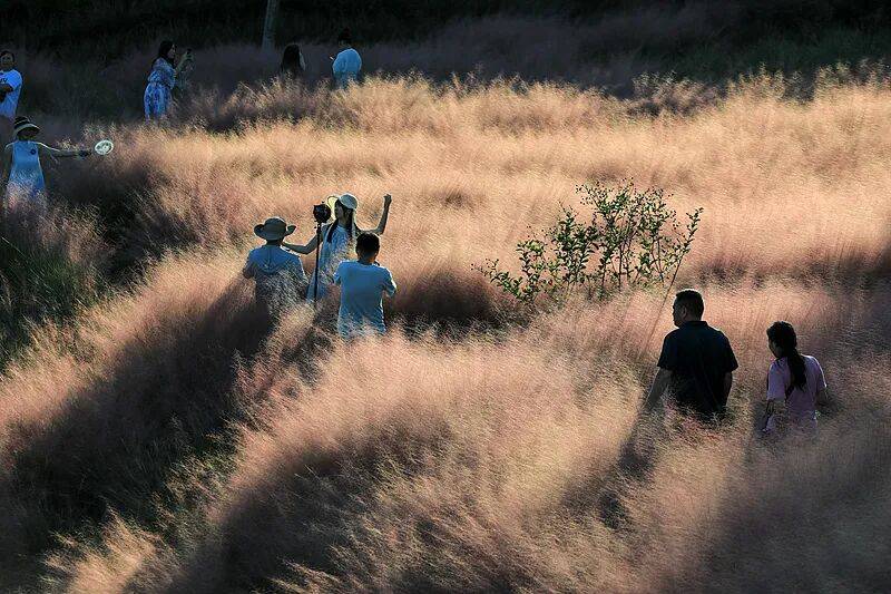 打卡拍照<strong></p>
<p>币汇系列</strong>，再美也不能用生命对焦