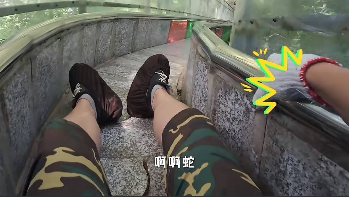 游客称在广西丹炉山滑道遇蛇<strong></p>
<p>mcc币价格</strong>，景区致歉：这么多年就这一次，每年都做防蛇处理