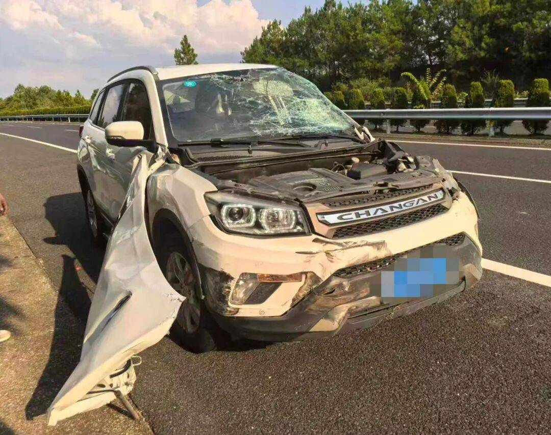 “我撒谎天打雷劈！”男子高速突然强行变道致翻车<strong></p>
<p>罄币</strong>，反诬赖对方