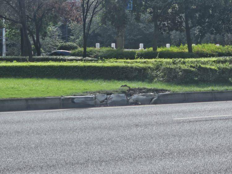 成都发生一起严重交通事故<strong></p>
<p>火特币</strong>，上游新闻实地探访：燃烧留下的印记仍在