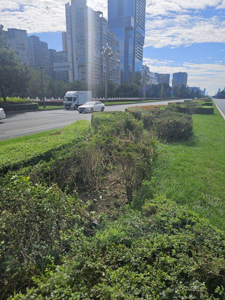 成都发生一起严重交通事故<strong></p>
<p>火特币</strong>，上游新闻实地探访：燃烧留下的印记仍在