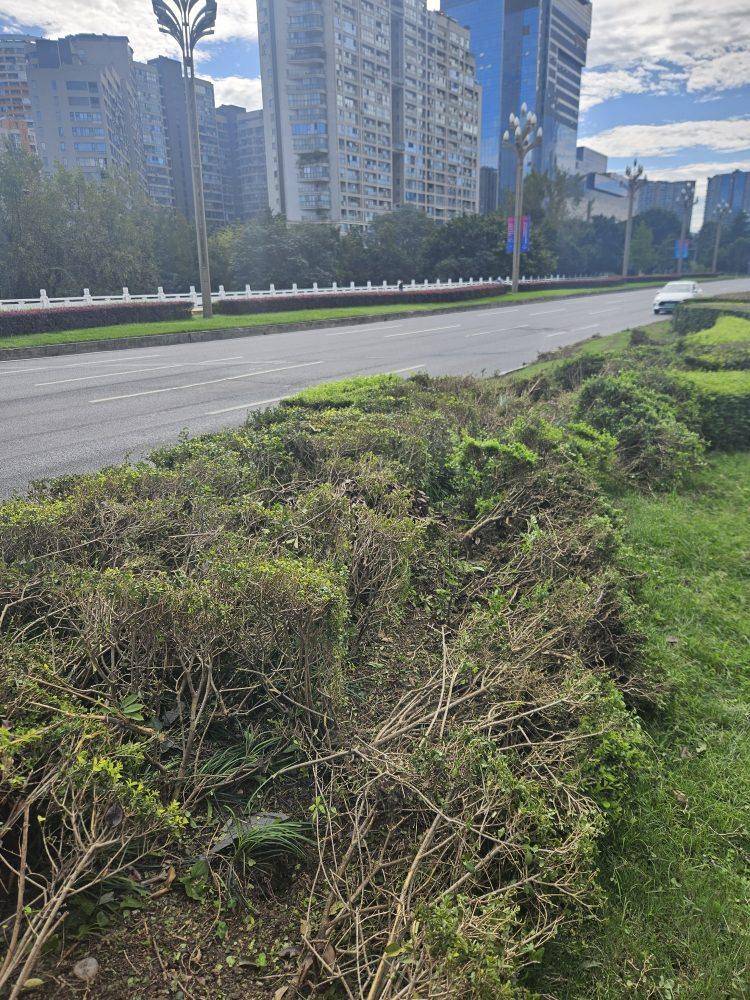 成都发生一起严重交通事故<strong></p>
<p>火特币</strong>，上游新闻实地探访：燃烧留下的印记仍在