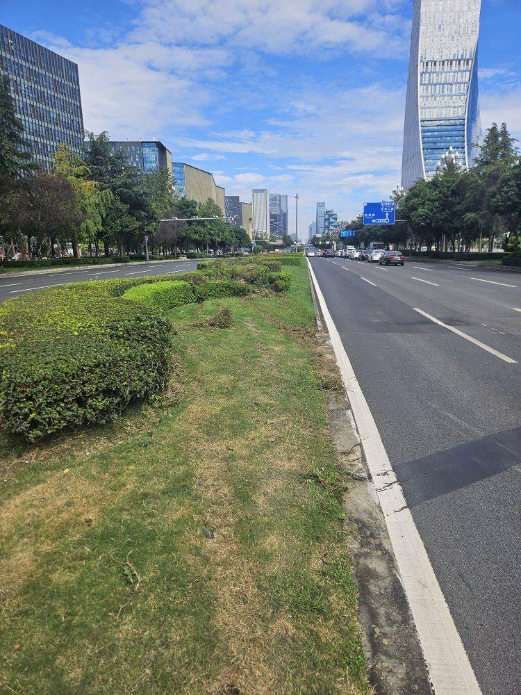 成都发生一起严重交通事故<strong></p>
<p>火特币</strong>，上游新闻实地探访：燃烧留下的印记仍在