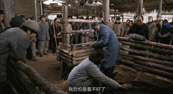 为什么说现在不缺牛马<strong></p>
<p>火特币</strong>，就缺驴？