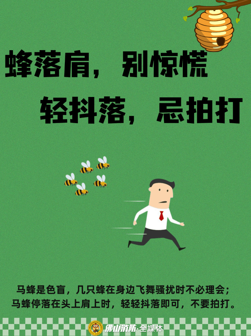 深圳一市民突遭马蜂围袭！已进入高发期<strong></p>
<p>火特币</strong>，千万别招惹！