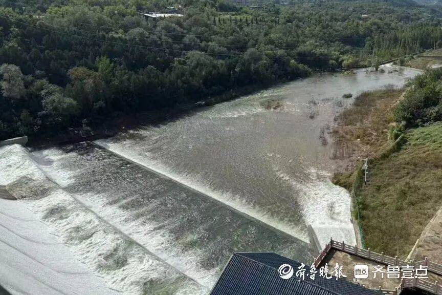 “鱼多得数不过来<strong></p>
<p>瓦特币</strong>，一网子下去能捞好几条”济南锦绣川水库开闸放水，大量鲢鱼被冲出，工作人员：禁止捕捞！