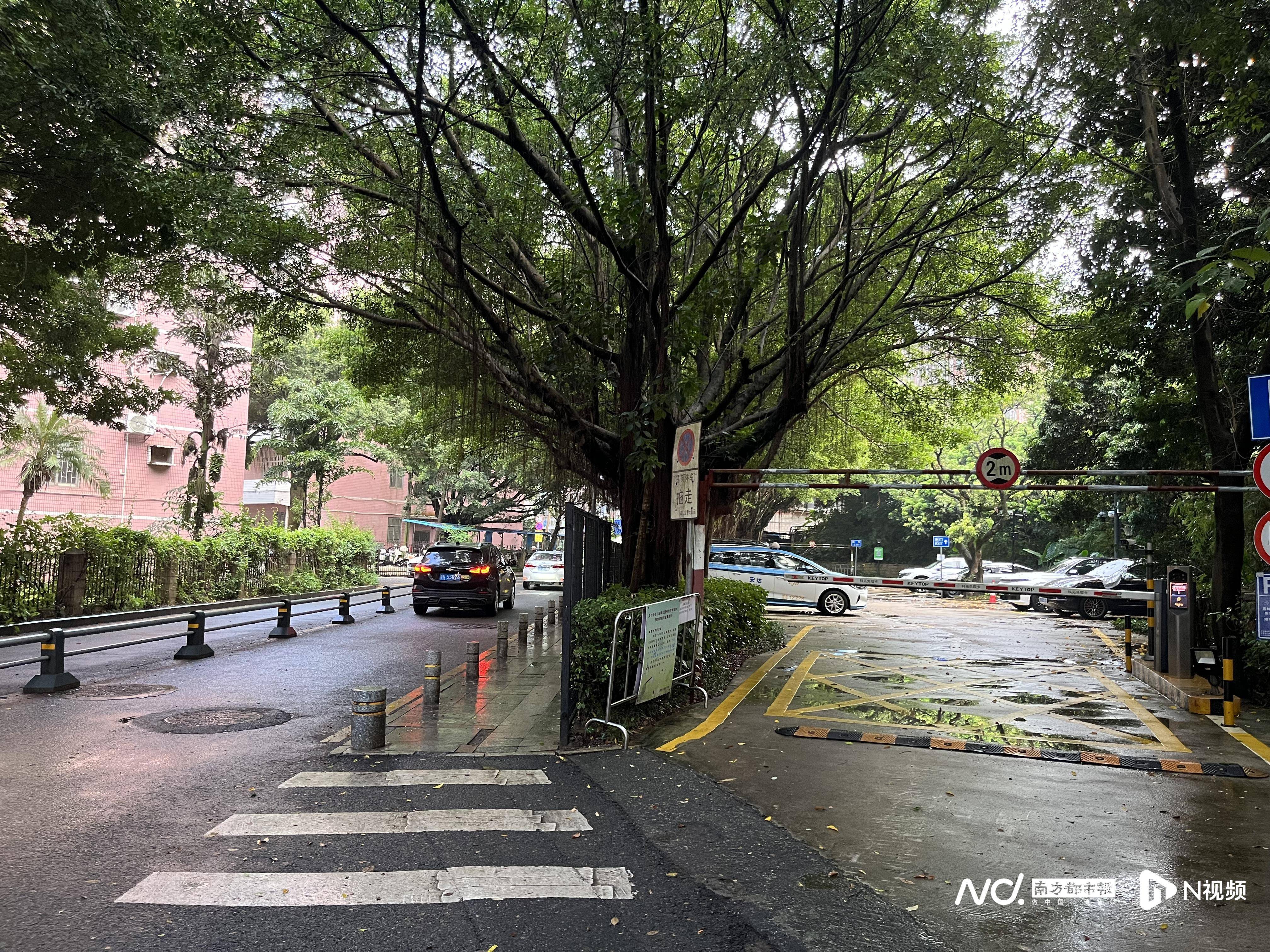 深圳一小区电动车管理引担忧<strong></p>
<p>瓦特币</strong>，部门责令整改后，记者实探