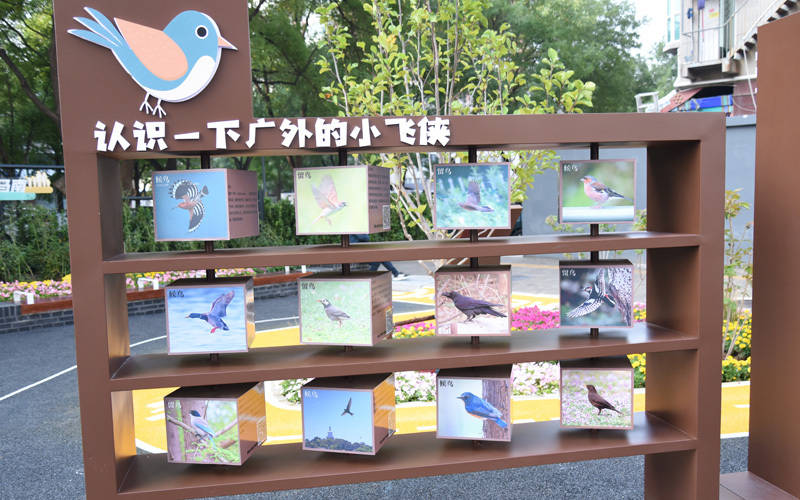 西城区广外街道:“断头路”变身口袋公园<strong></p>
<p>坡币</strong>,装满民生“微幸福”