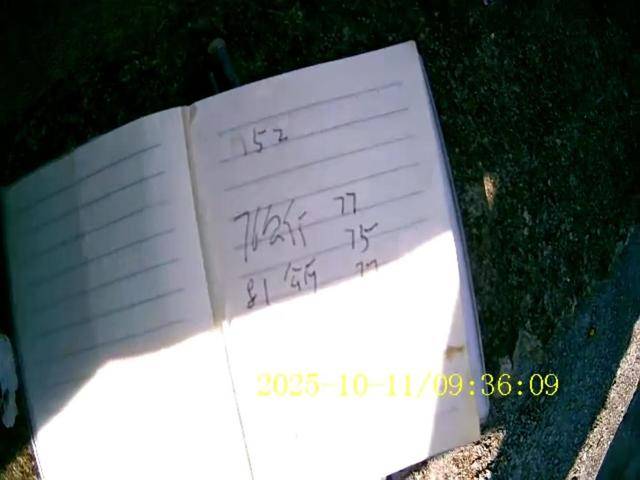 100斤玉米上秤秒变60斤？贵州一村民遭“鬼秤”骗粮！民警出手<strong></p>
<p>黑币2001</strong>，5人被拘