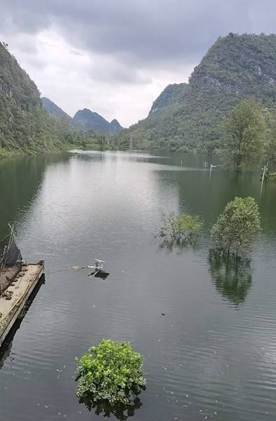 百色多个村庄被困水中已超半月<strong></p>
<p>农币</strong>，长涝难退为何重演？