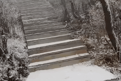 石家庄下雪了<strong></p>
<p>梦想币</strong>！河北雨雪上线！新一股冷空气在路上……