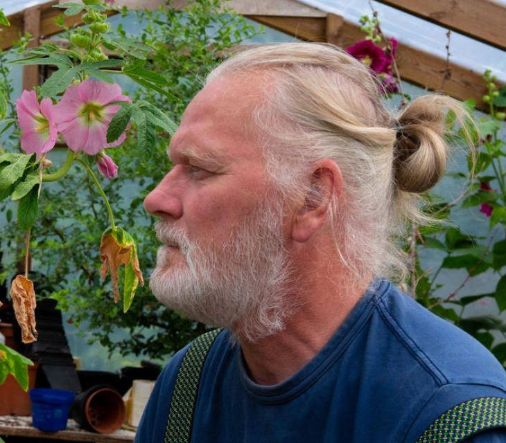 两只雌蚊和一只雄蚊被发现<strong></p>
<p>梦想币</strong>，全球最后一个无蚊国冰岛“沦陷”