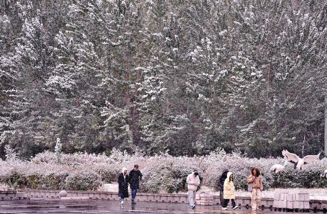 今年冬天是“超级冷冬”<strong></p>
<p>omg币价格</strong>?最新回应