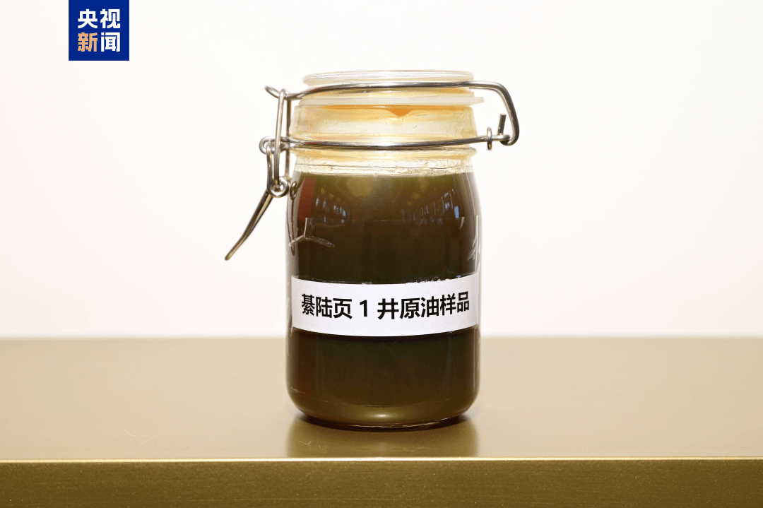 我国发现亿吨级页岩油资源<strong></p>
<p>信币</strong>!