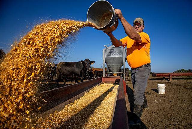 又输给了李成钢<strong></p>
<p>比克币</strong>,贝森特承诺:美方不再考虑对华加征100%关税