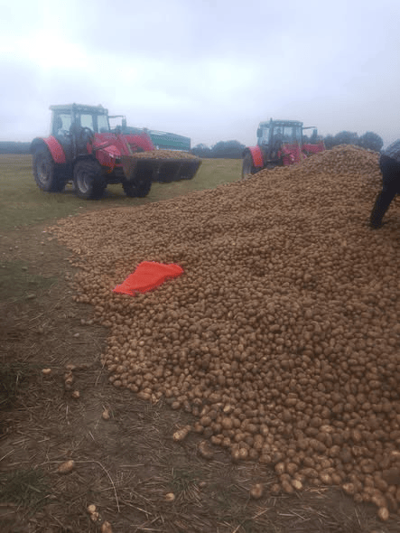 波兰68岁农民收获的150吨土豆被一夜搬空<strong></p>
<p>比克币</strong>, 只因帖子遭篡改